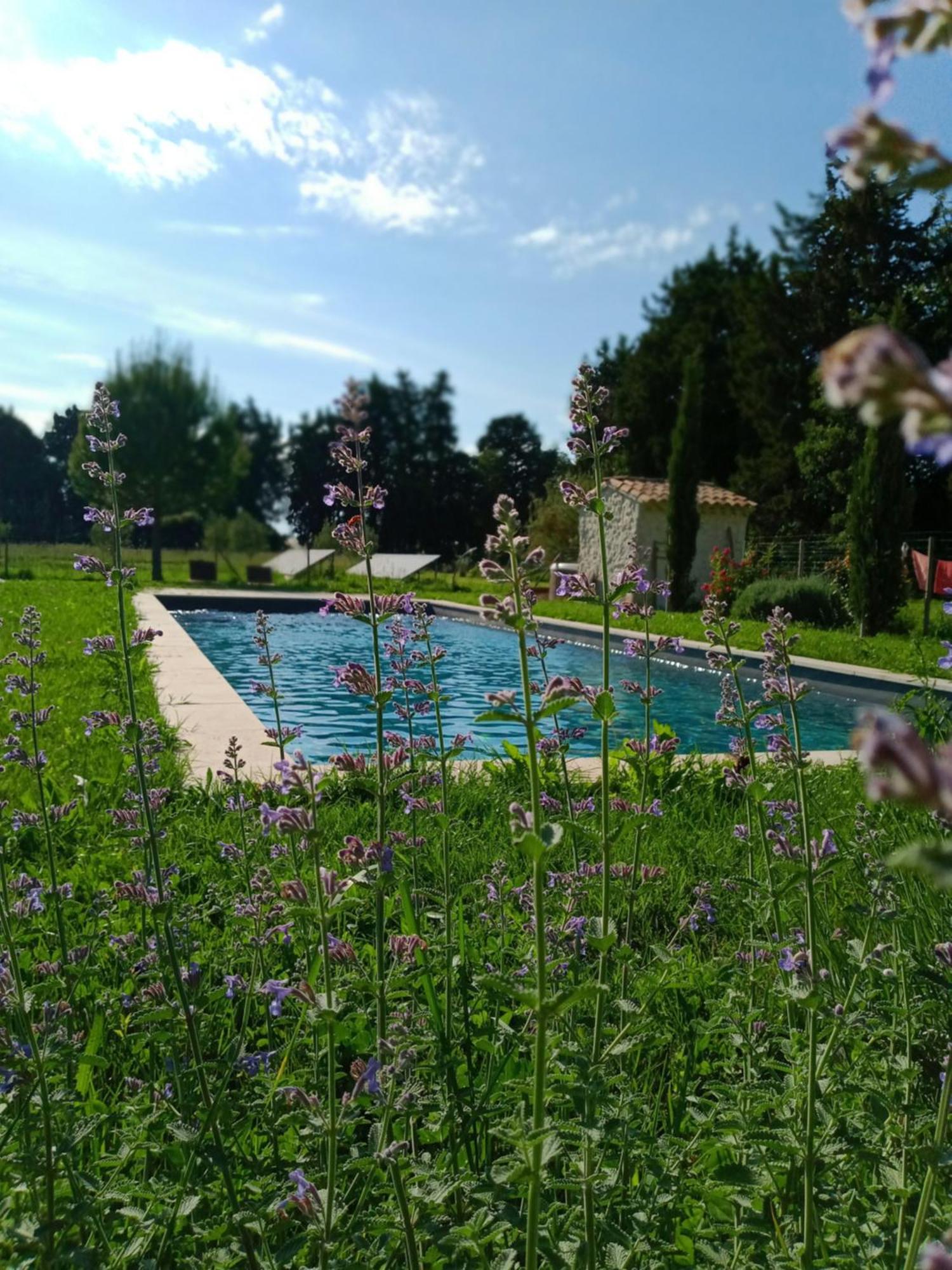 Mas De Karlotte Apartment Pernes-les-Fontaines Luaran gambar