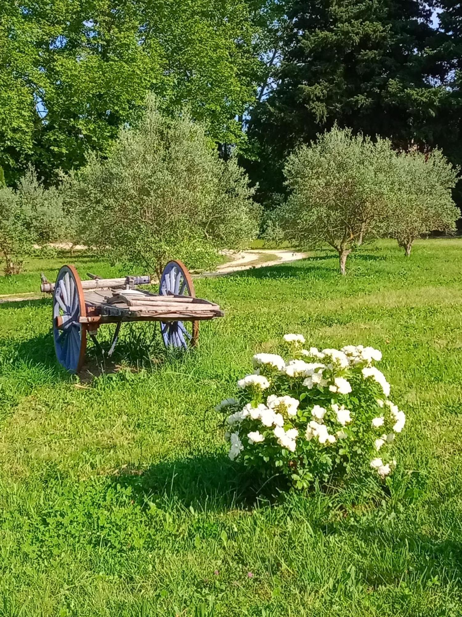 Mas De Karlotte Apartment Pernes-les-Fontaines Luaran gambar